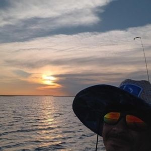 Meet your Posher, Phillip